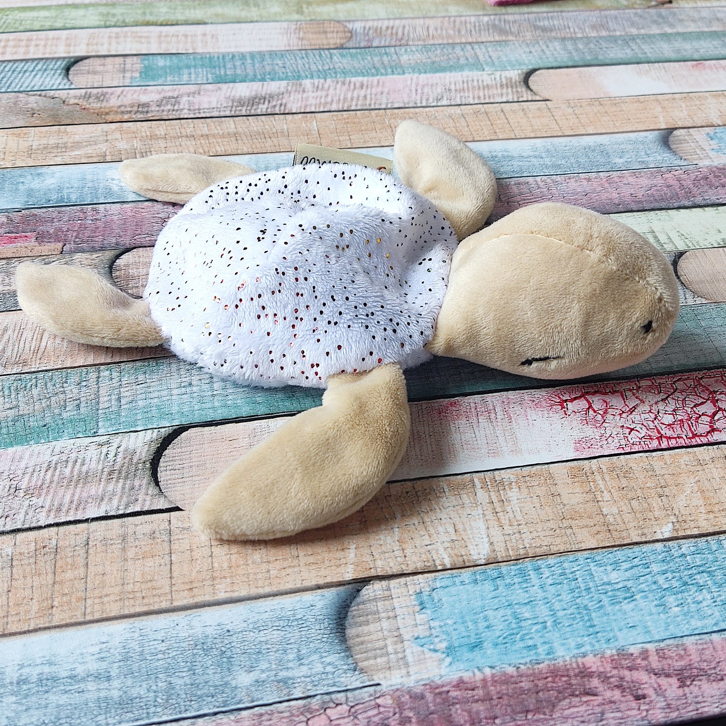 Schnuffelschildkröte
