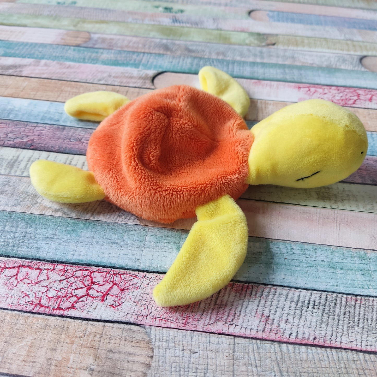Schnuffelschildkröte