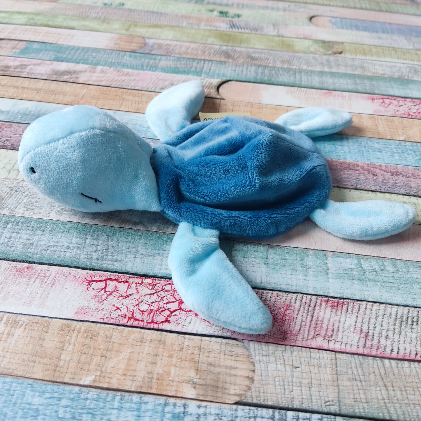 Schnuffelschildkröte