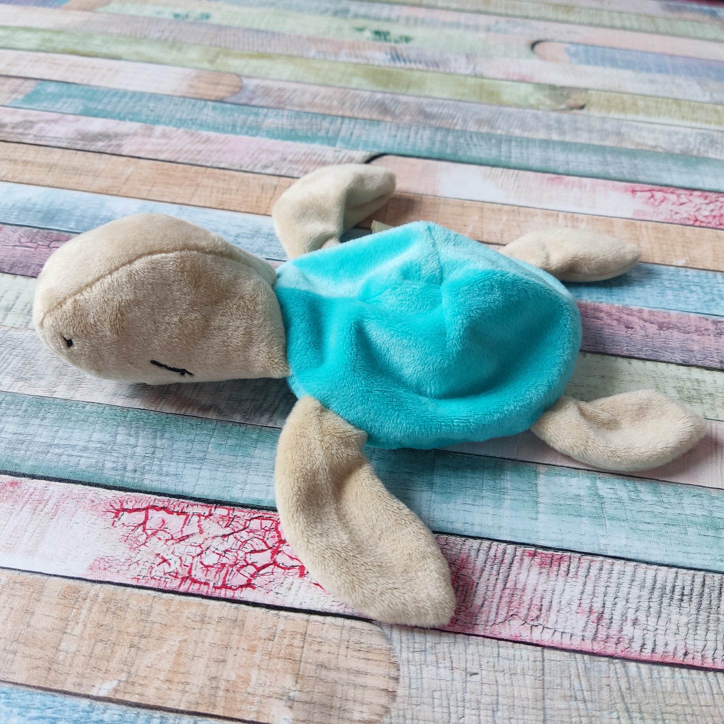 Schnuffelschildkröte