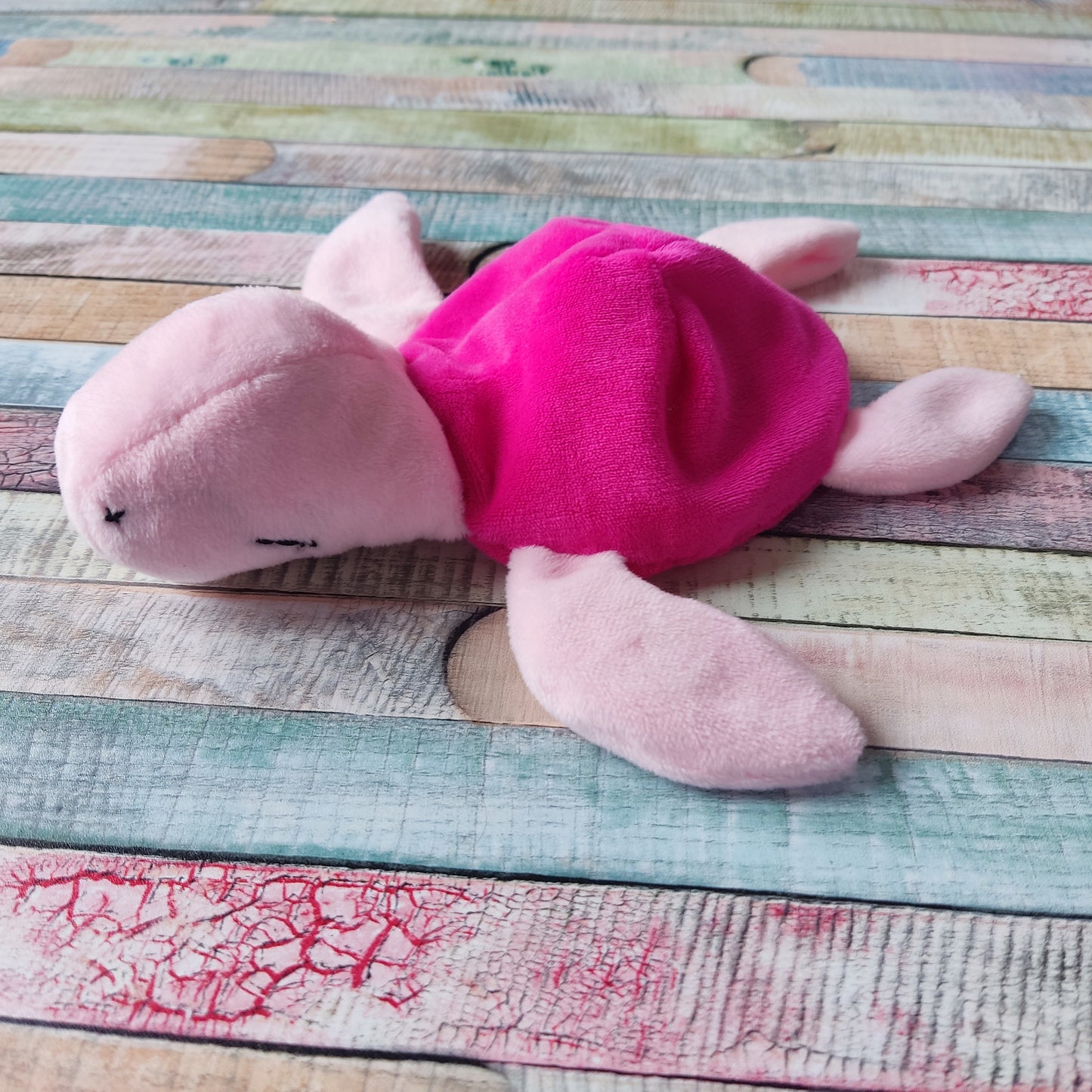 Schnuffelschildkröte