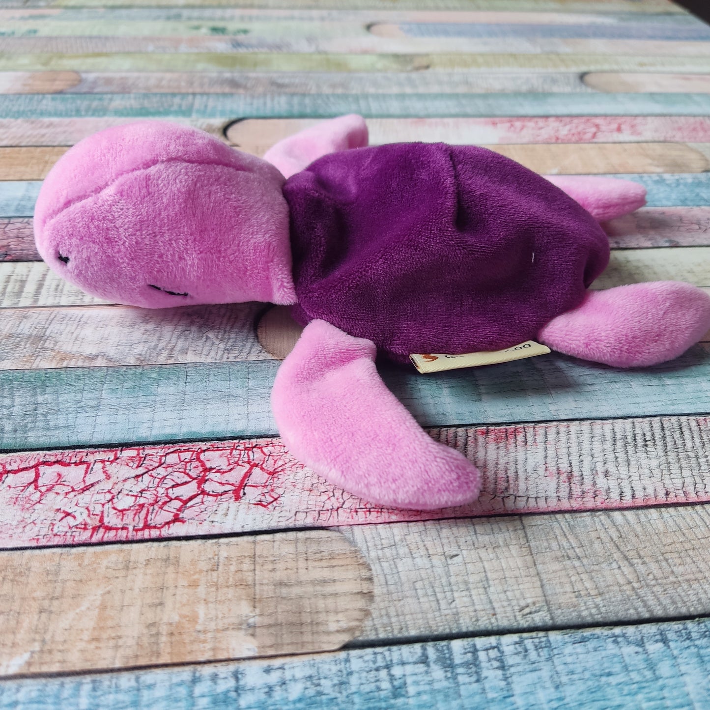 Schnuffelschildkröte